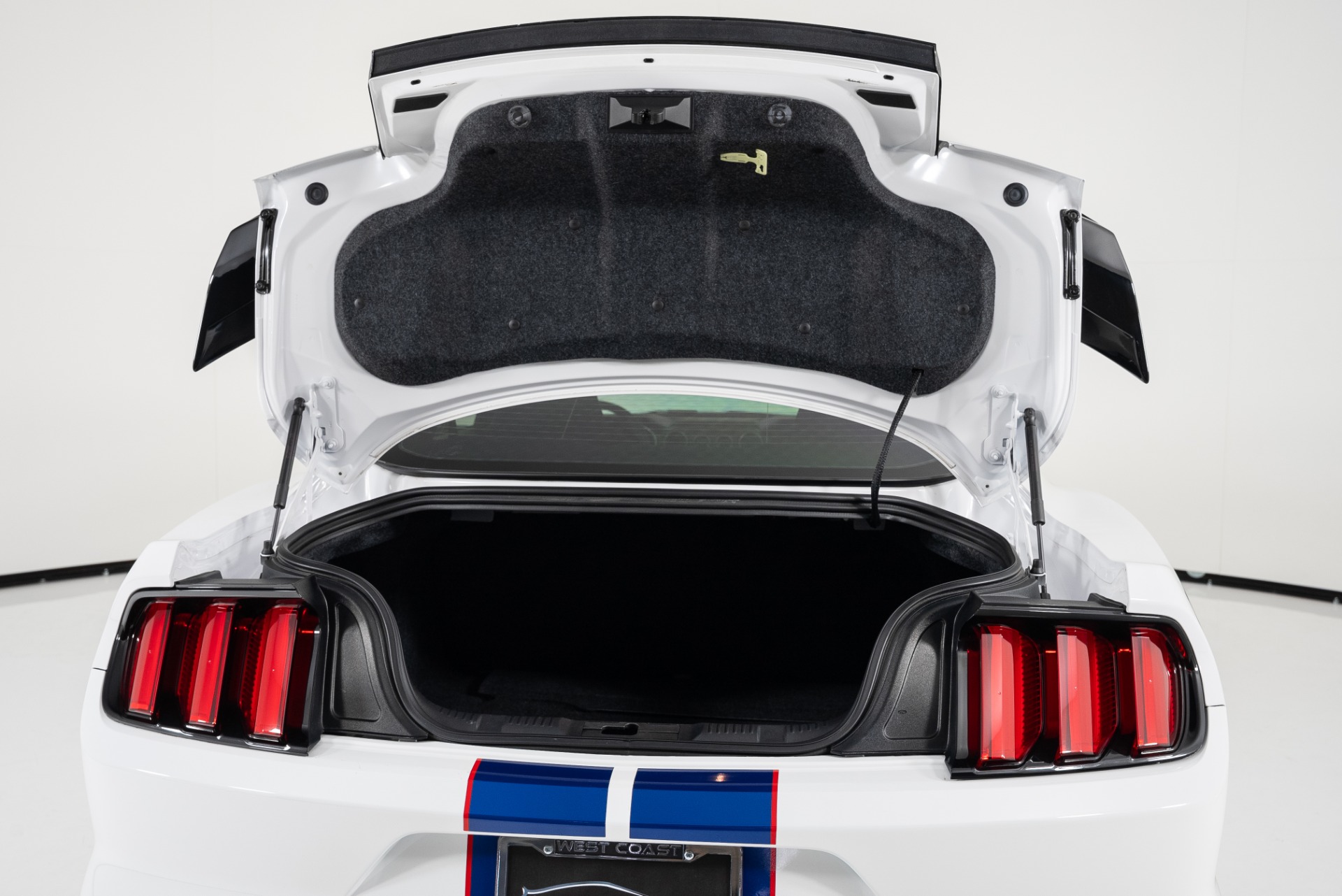 Trunk Ledge Kit | FORD MUSTANG SHELBY GT350R 2017 Trunk Ledge Kit | FORD MUSTANG SHELBY GT350R 2017